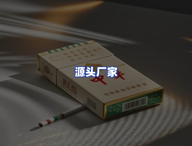 专业团队